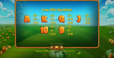 Pumpkin Patch: Tabella dei pagamenti