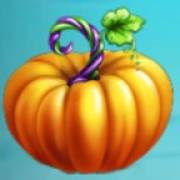 Pumpkin Patch: Zucca