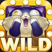 Pushy Cats: Selvaggio