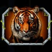 Queen Of The Amazon: Tigre