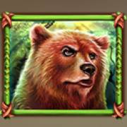 Raging Bison: Orso