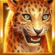 RagingPop: Leopardo