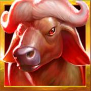 RagingPop: bufalo
