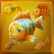 RagingPop: Pesce