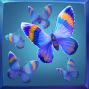 RagingPop: Farfalla