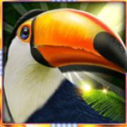 Reels Of Rio Party Time: Tucano