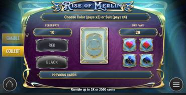 Rise of Merlin: Caratteristica del gioco d'azzardo
