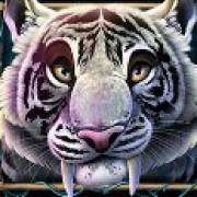 Rock Vegas: Tigre