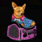 Rodeo Drive: Simbolo del cane