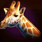 Rumble Rhino: Giraffa