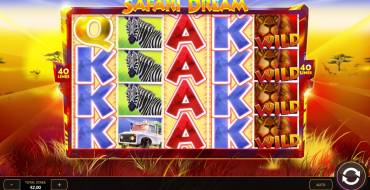 Safari Dream: Regole