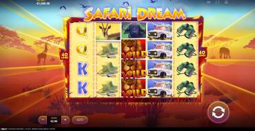 Safari Dream: Interfaccia