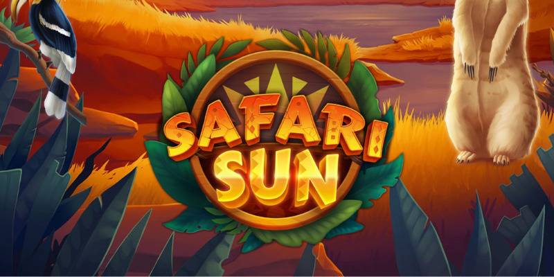 Safari Sun