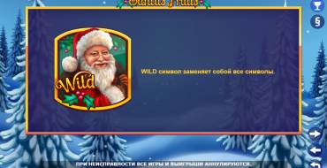 Santas Fruits: Caratteristiche