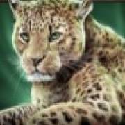 Savanna Roar: Ghepardo