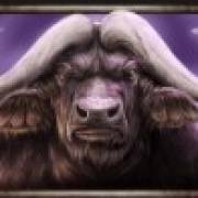 Savanna Roar: Bufalo