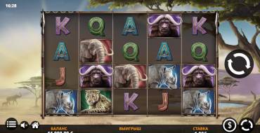 Savanna Roar: Tema
