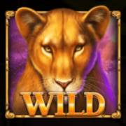 Savannah's Queen: Selvaggio