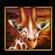 Savannah's Queen: Giraffa