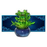 Shake Shake Money Tree: Vaso