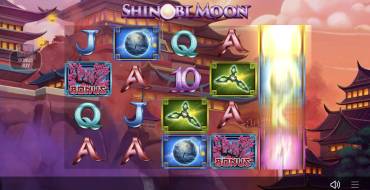 Shinobi Moon: Bonus Frispin
