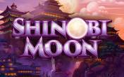 Slot Shinobi Moon