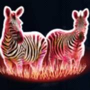 Silver Lion Feature Ball: Zebre