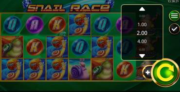 Snail Race: Scommesse