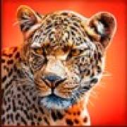 Solar Eclipse: Tigre