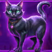 Spooktacular Bonanza: Gatto