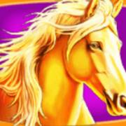 Stallion Kingdom: Cavallo