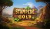 Slot Stampede Gold