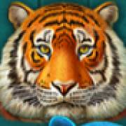Super Cats: Tigre