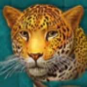 Super Cats: Leopardo