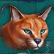 Super Cats: Lince