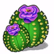 Texas Tea: Cactus