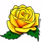 Texas Tea: Rosa