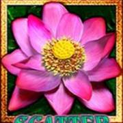 Thai Flower Megaways: Spargimento