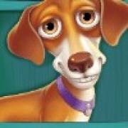 The Dog House Megaways: Bassotto