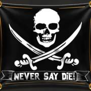 The Goonies: Hey You Guys!: Bandiera