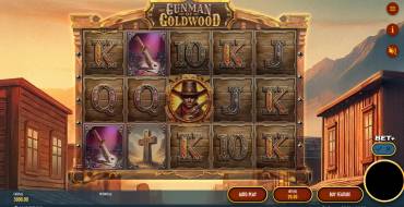 The Gunman of Goldwood: Interfaccia