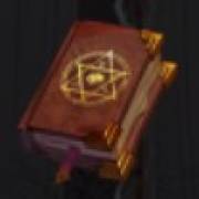 The Twin Wins Mystery: Libro