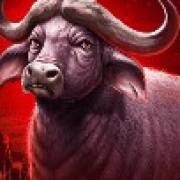 The Ultimate 5: Bufalo