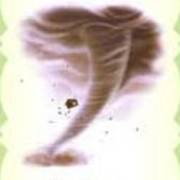 The Wizard of Oz: Uragano