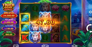 Tiger Gems: Hold and Win: Vincite