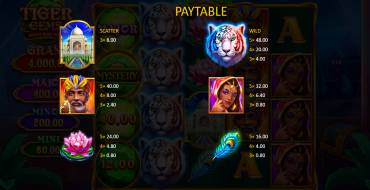 Tiger Gems: Hold and Win: Tabella dei pagamenti