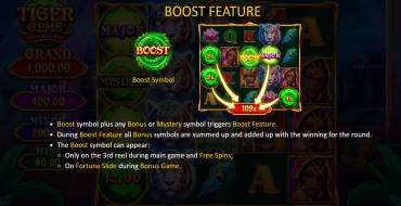 Tiger Gems: Hold and Win: Giochi bonus