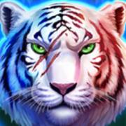 Tiger Gems: Hold and Win: Selvaggio