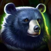 Tiger Jungle Hold and Win: Orso