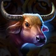 Tiger Jungle Hold and Win: bufalo